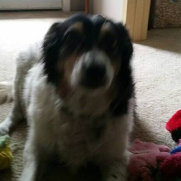 Meet your Posher, Tempe - Picture 1 of 1